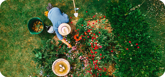 Home And Garden Industry Page